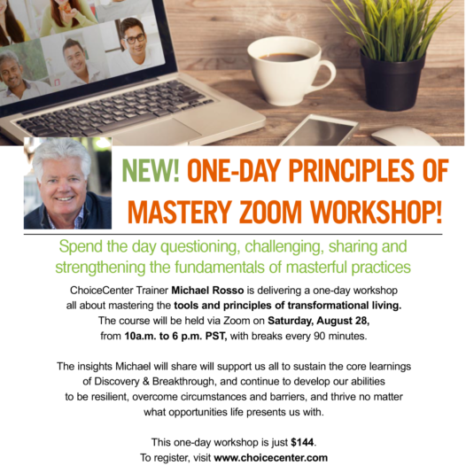 One Day Principles of Mastery Zoom Training