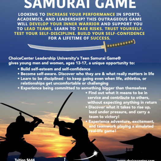 Teen Samurai Game®