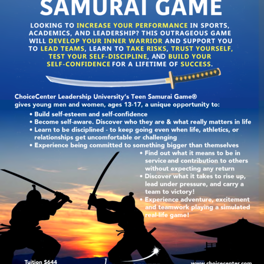 Teen Samurai Game®